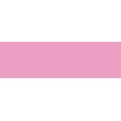 rose pink brushmarker wn