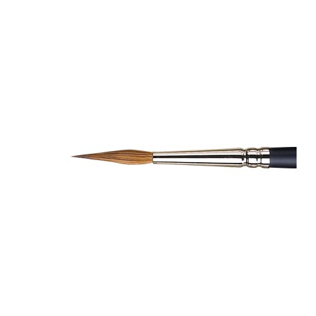 Pointed Round Professional Winsor