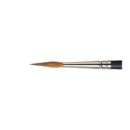 Pointed Round Professional Winsor