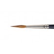 Pointed Round Professional Winsor