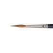 Pointed Round Professional Winsor