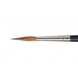 Pointed Round Professional W&N