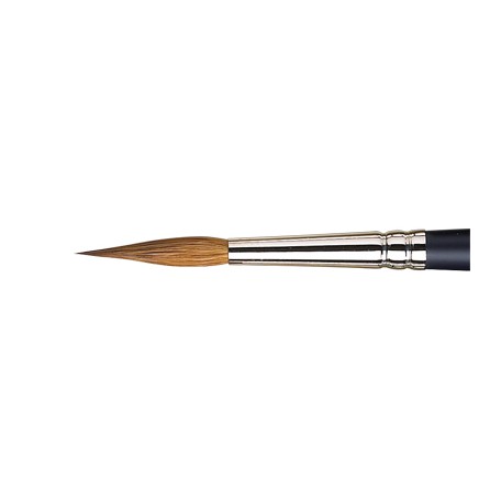 Pointed Round Professional Winsor