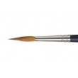 Pointed Round Professional Winsor