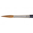 Pointed Round Professional W&N