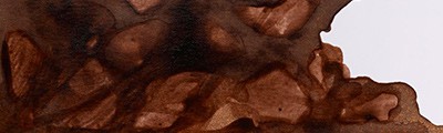 469 Peat brown, tusz rysunkowy Winsor & Newton, 14ml