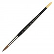 Raphael 8402 pedzle sobolowe