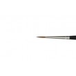 pedzle Raphael Kolinsky 8402