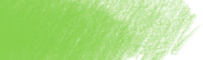 167 Permanent green olive, Polychromos kredka artystyczna
