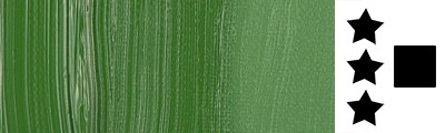 668 S2 Chromium oxide green, farba olejna Van Gogh 40 ml