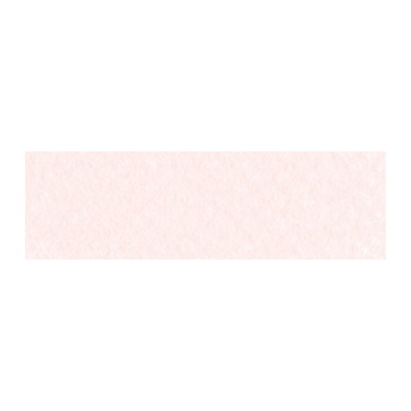 PanPastel color 9ml