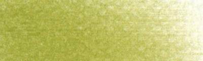 680.3 PanPastel Bright Yellow Green Shade 9ml