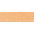 952.5 PanPastel Pearlescent Orange 9ml