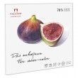 palazzo watercolour fig