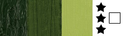 620 S2 Olive green, farba olejna Van Gogh 200 ml