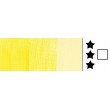 272 transparent yellow amsterdam