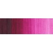380 Magenta farba olejna Winton 200ml