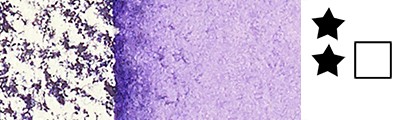 733 Winsor violet (dioxazine), sztyft akwarelowy Professional, W