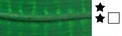 070 Lak Zielony Jasny, farba olejna For Art 60 ml