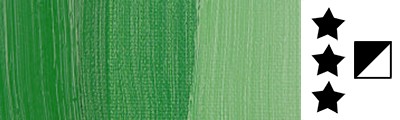 614 S3 Permanent Green Middle, farba olejna Rembrandt 40 ml