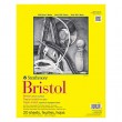 bristol blok strathmore vellum surface