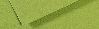 475 Apple Green, Mi-Teintes Canson 50 x 65 cm