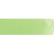 221 Light Green kredka Pablo Caran d'Ache