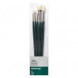 oil winton brush winsor newton