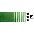 195 Jadeite Genuine akwarela Daniel Smith