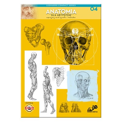 anatomia poradnik rysunku