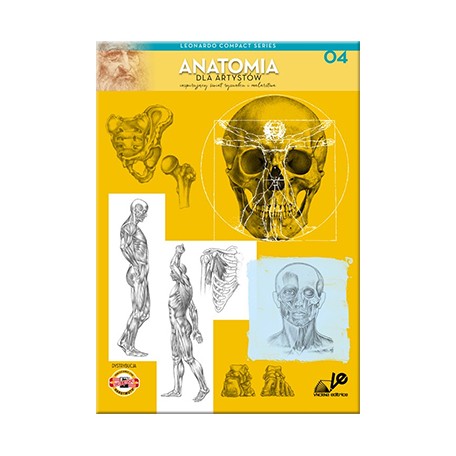 anatomia poradnik rysunku