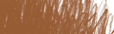 31 Light brown, kredka artystyczna Polycolor