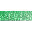234 Permanent green light pastel olejna Sennelier