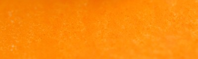 039 Orange lead pastel sucha a l'ecu Sennelier