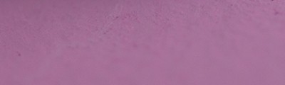 313 Madder violet, pastel sucha a l' ecu Sennelier