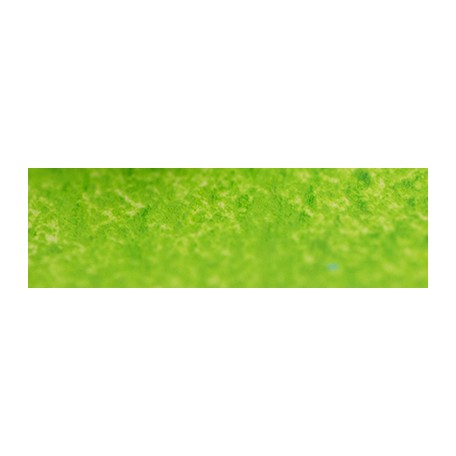 205 Apple green pastel sucha a l ecu Sennelier
