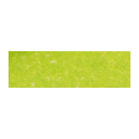 207 Apple green pastel sucha a l' ecu Sennelier