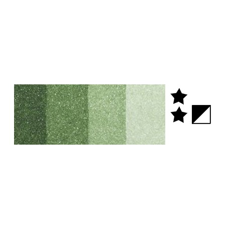 552 Sap green, farba graficzna Charbonnel, 60ml