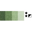 552 Sap green, farba graficzna Charbonnel, 60ml