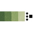 561 Medium green, farba graficzna Charbonnel, 200ml