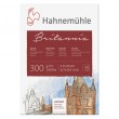 Blok akwarelowy Hahnemühle, 300 g, 17 x 24 cm
