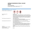Vitrail Lefranc & Bourgeois