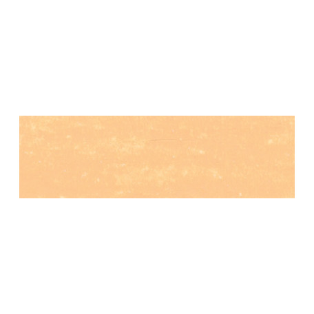 542 Butternut, woskowo-olejna pastel Neoart 6901