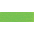 470 Spring Green, woskowo-olejna pastel Neoart 6901