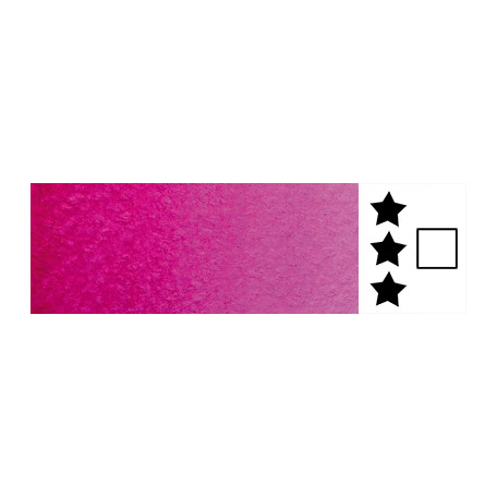709 Magenta Rose, akwarela w kostce Rosa Gallery