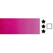 709 Magenta Rose, akwarela w kostce Rosa Gallery