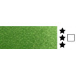 728 Sap Green, akwarela w kostce Rosa Gallery