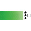 739 Bright Green, akwarela w kostce Rosa Gallery