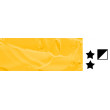 227 Yellow Middle, farba akrylowa Phoenix Studio 200 ml