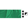 538 Permanent Green, farba akrylowa Phoenix Studio 100 ml